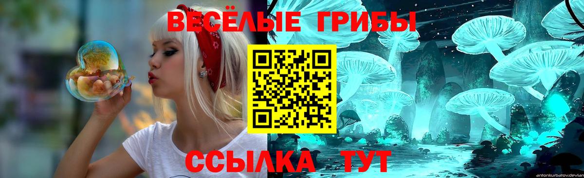 Псилоцибиновые грибы Psilocybine cubensis Апатиты