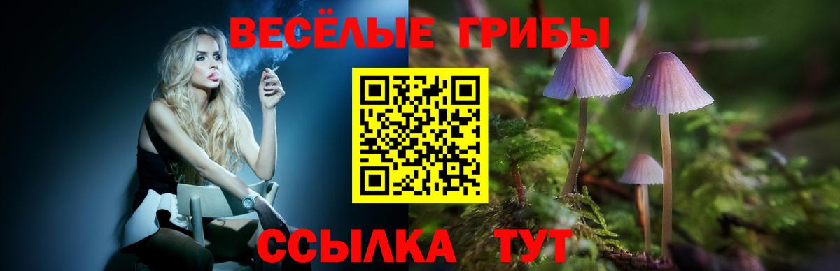 Апатиты  Галлюциногенные грибы прущие грибы  Вход с VPN 